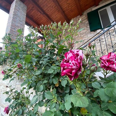 Villa Kortina Bašanija 外观 照片