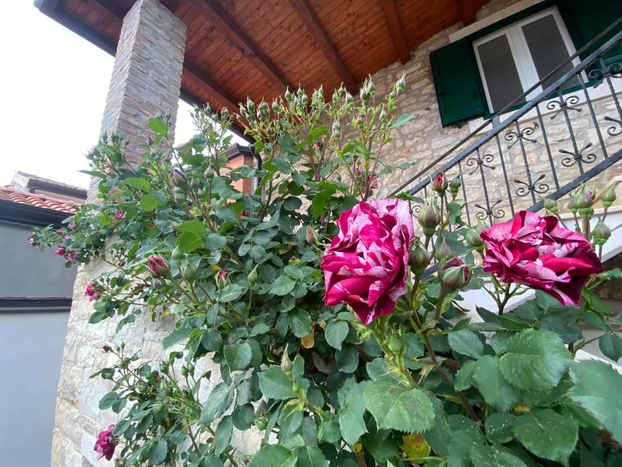 Villa Kortina Bašanija 外观 照片